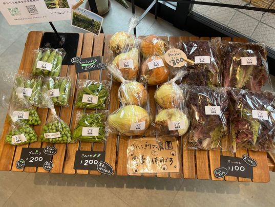 おにぎりマン農園のお野菜販売中！　～寝屋川　お米屋さん～